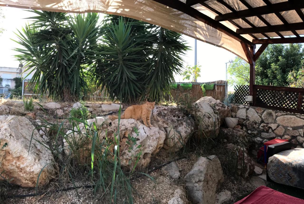 Panorama Kinneret נוף כנרת, צפת Eksteriør bilde